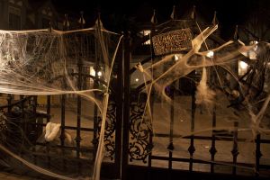 c63-Halloween 3.jpg